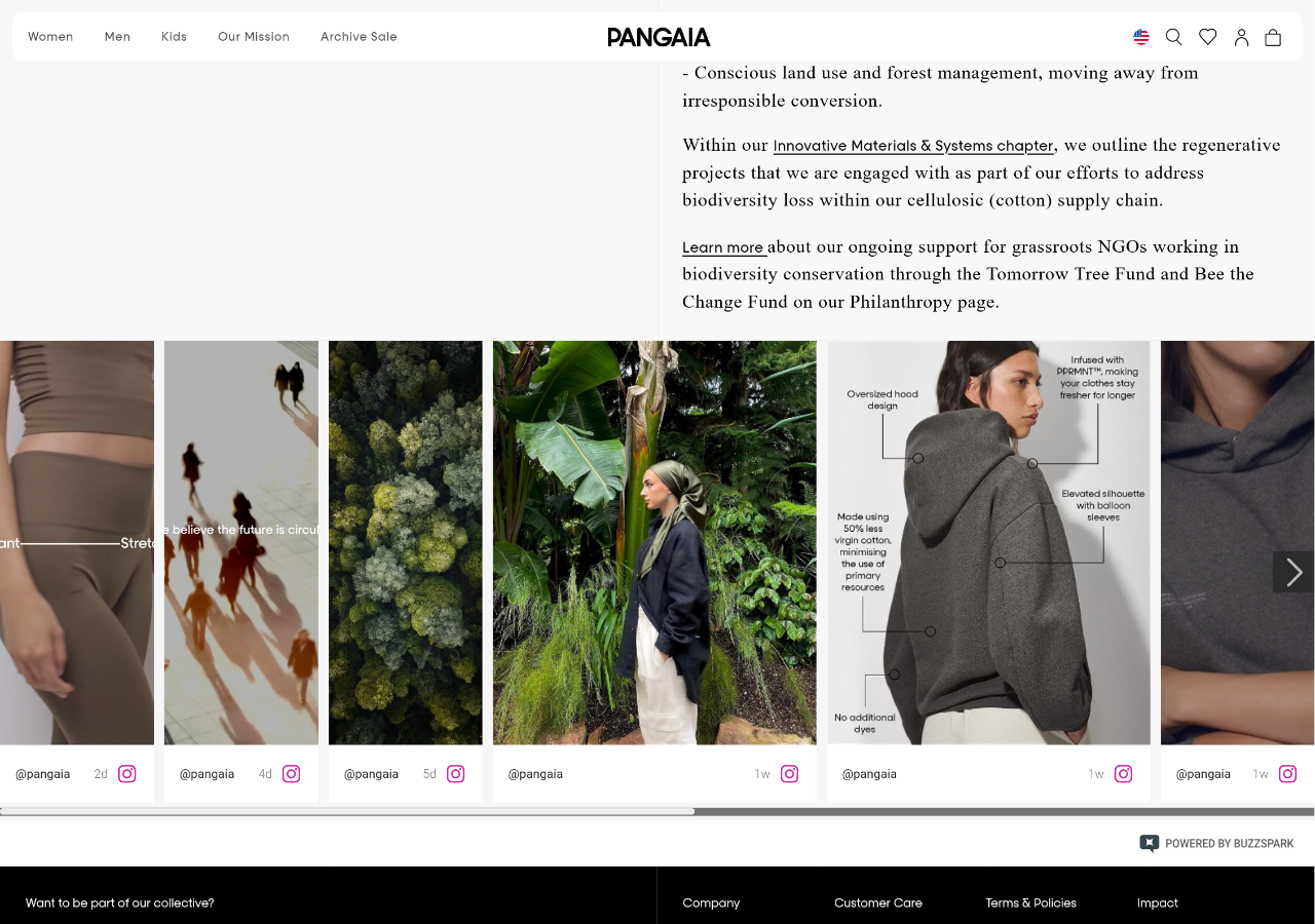 UGC Widget Display example